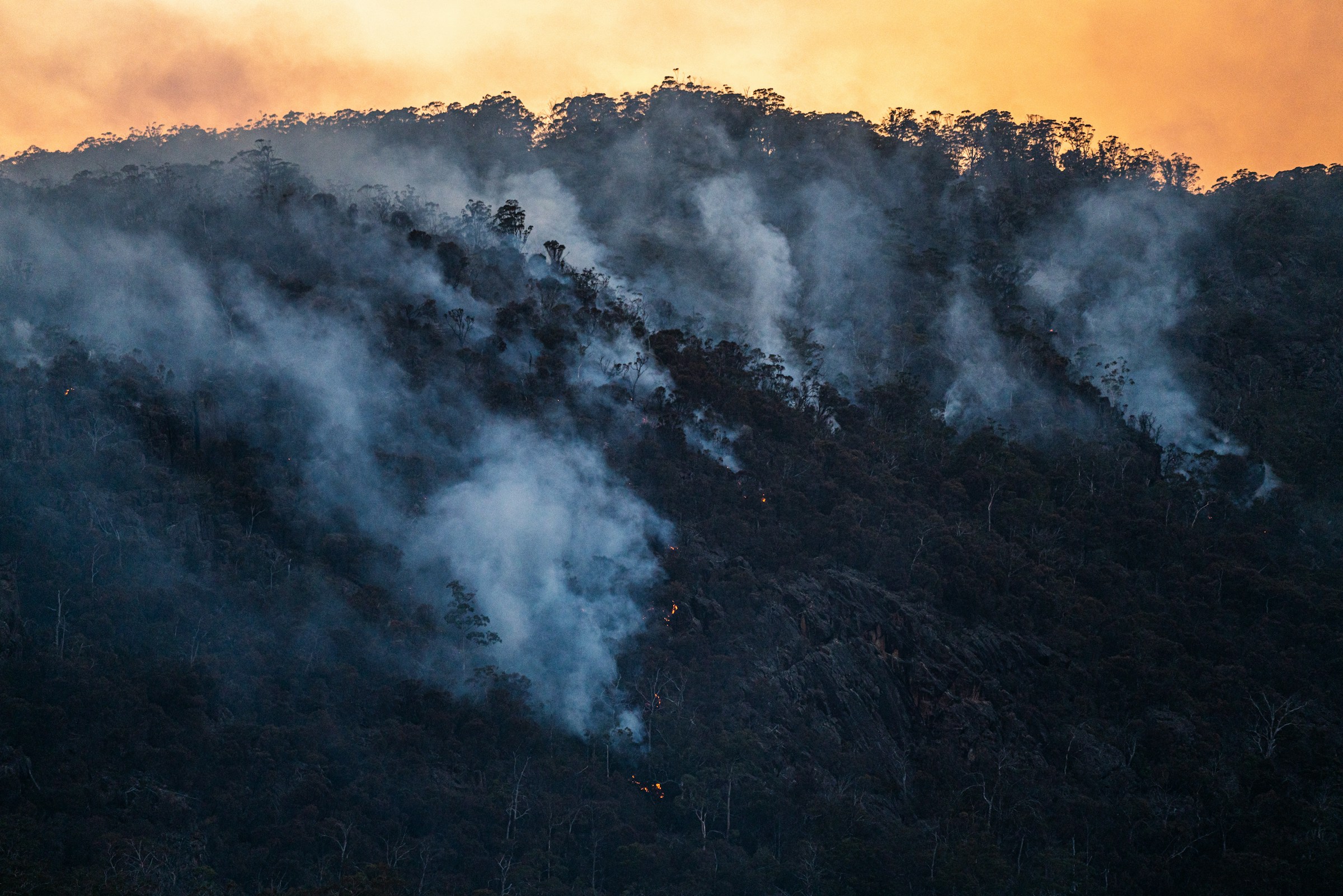 Smoke rising from the hillsides during a forest fire