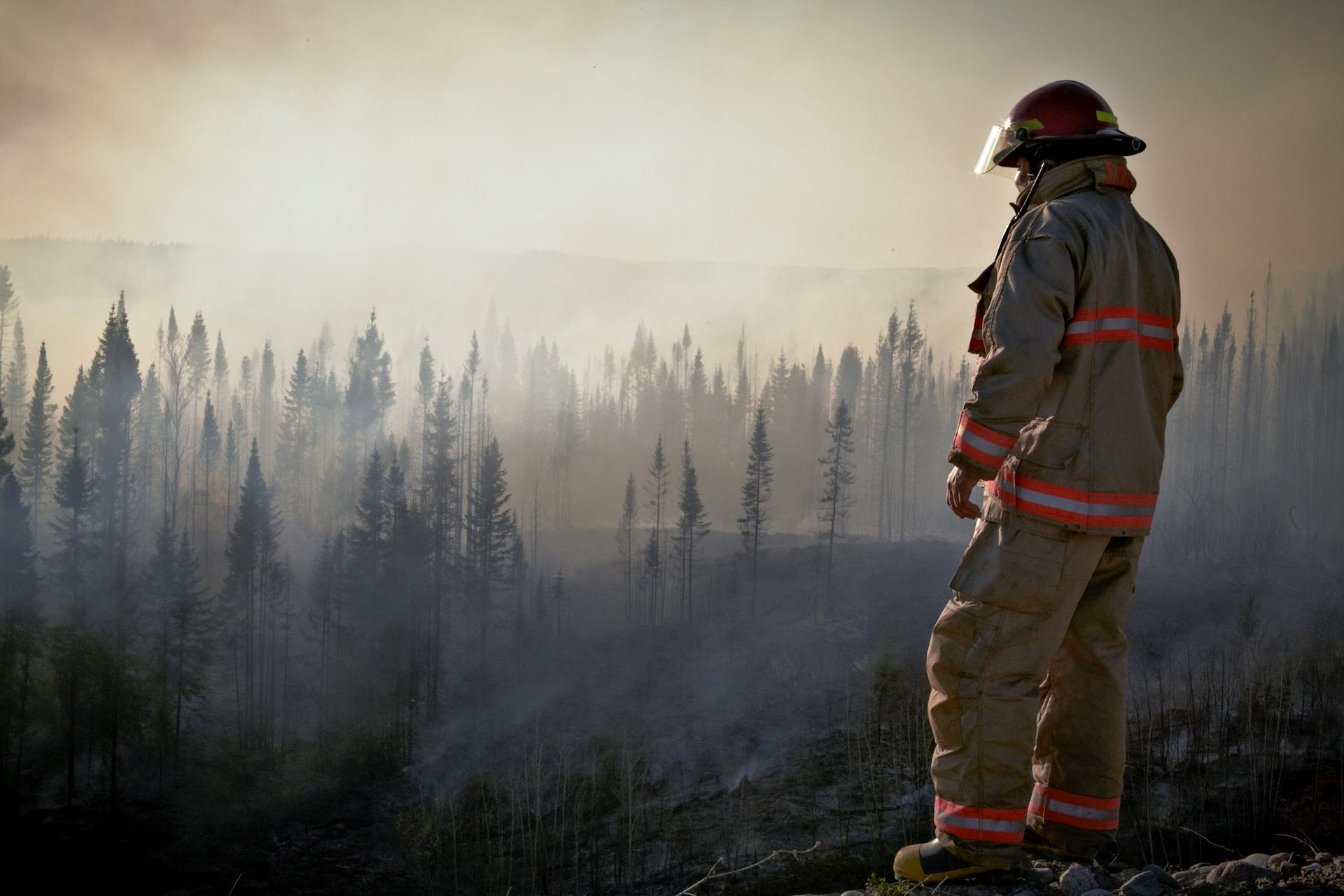 Firefighter looking at forest after a wildfire