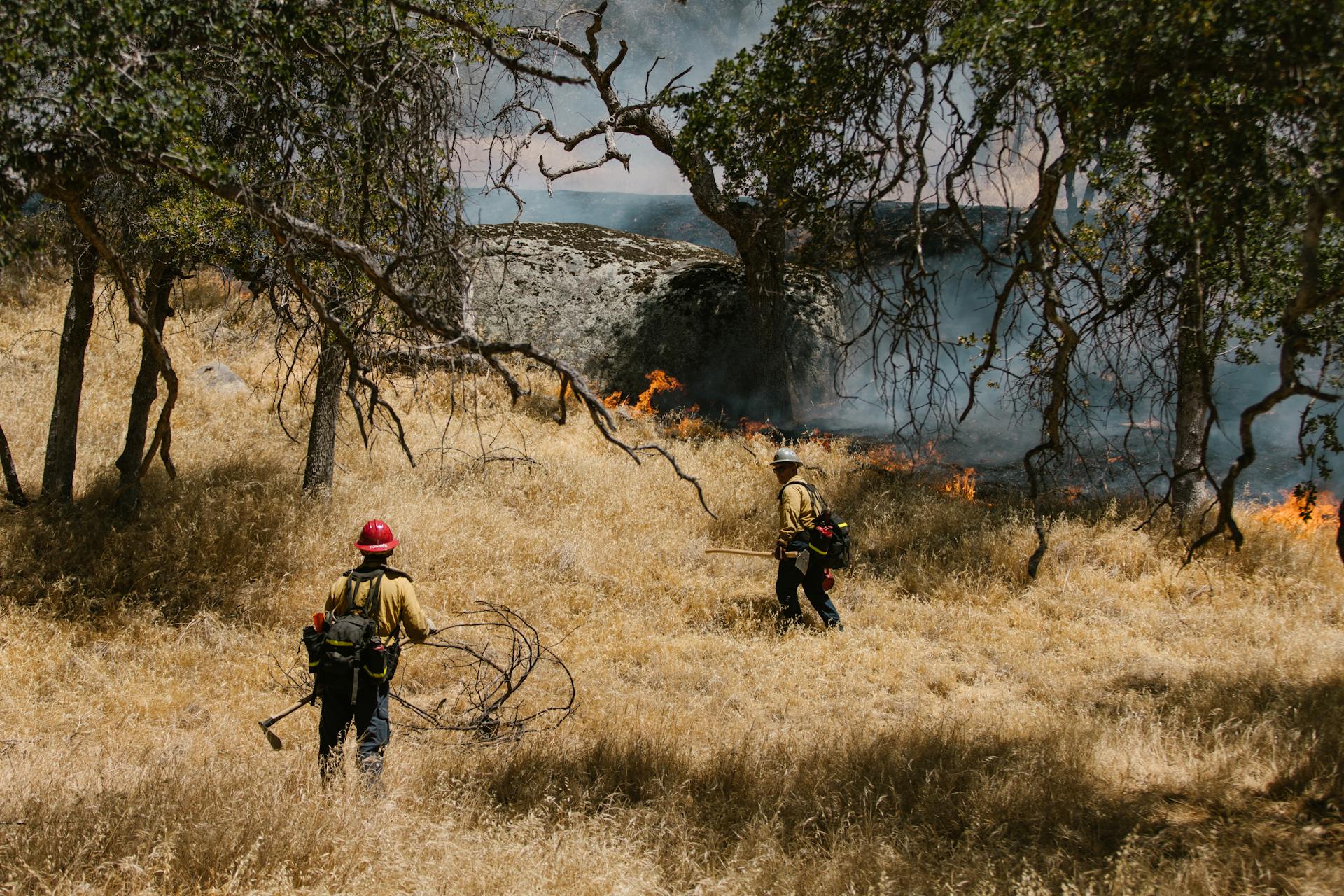 Firefighters fighting a brush fire