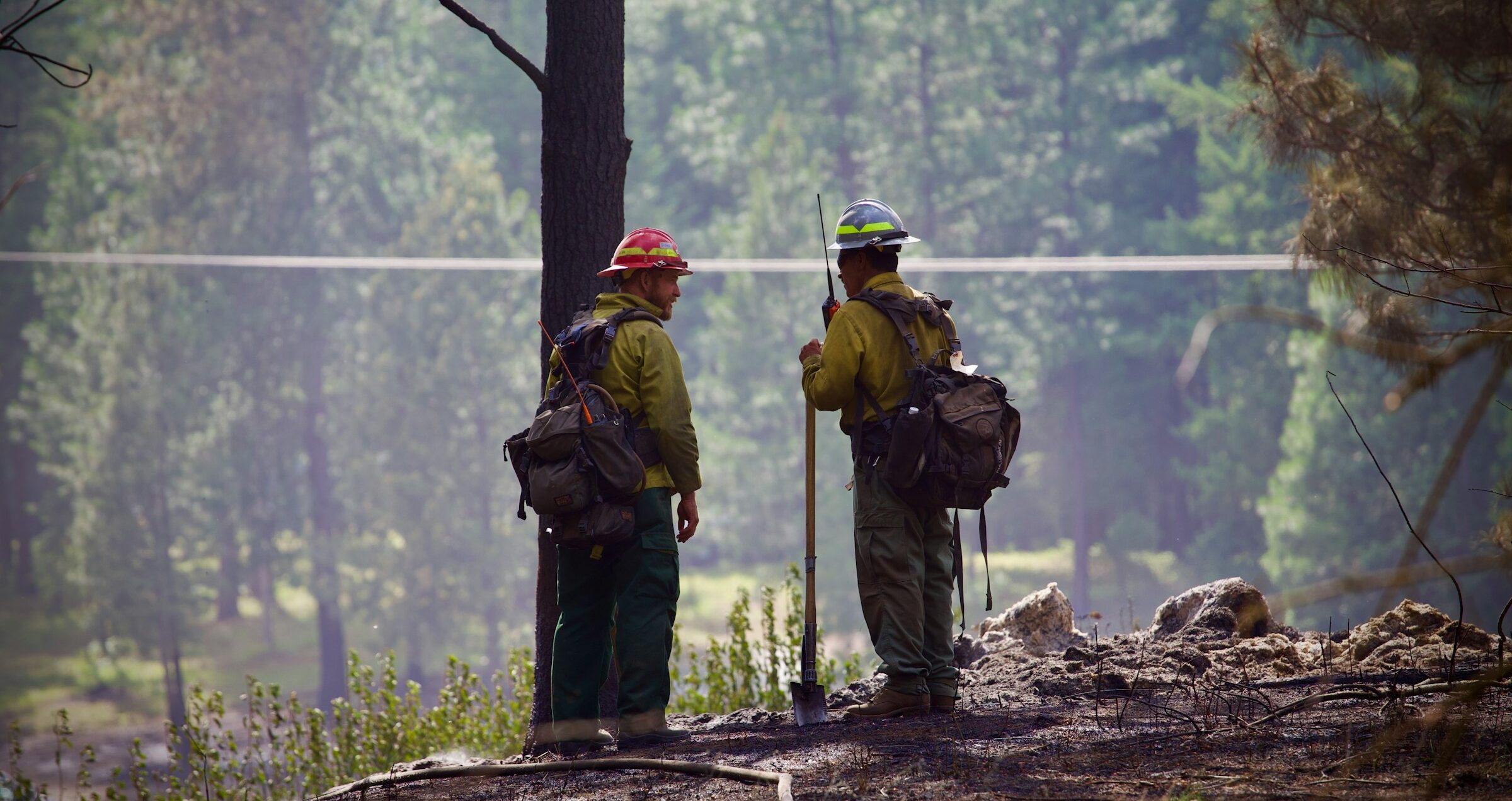 Fire crews working in a forested area