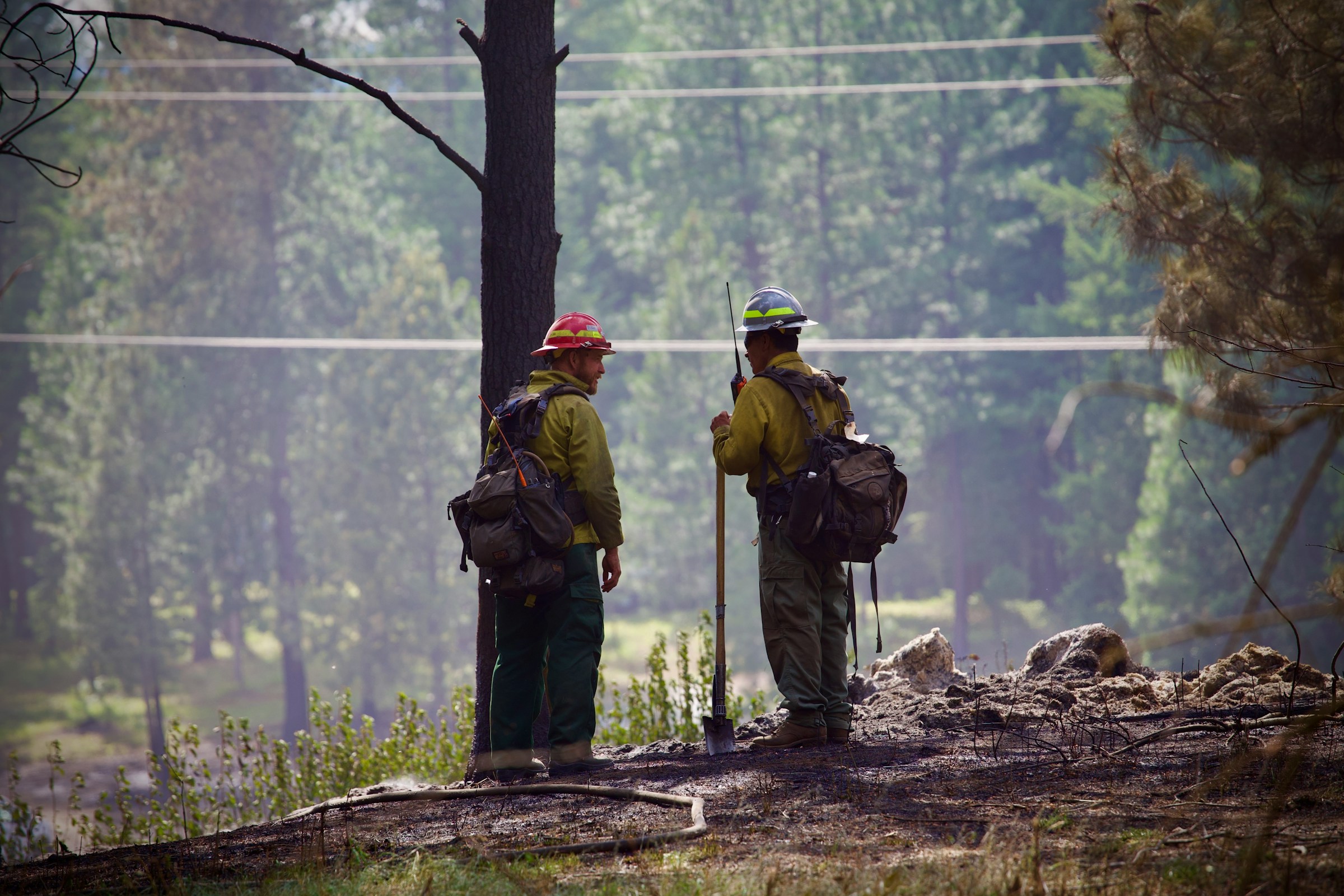 Fire crews working in a forested area