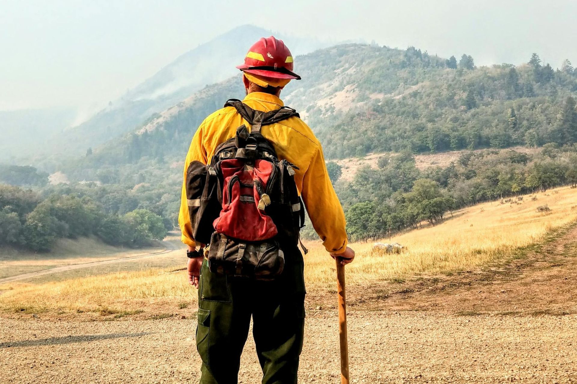 firefighter surveying hillside during wildfire suppression effort