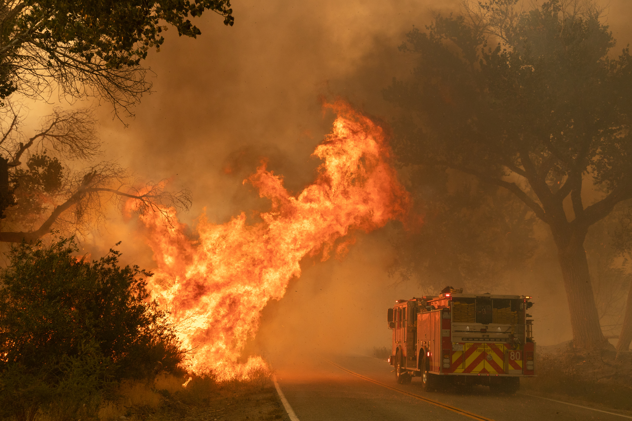 Fire Truck in the Midst of a Forest Fire