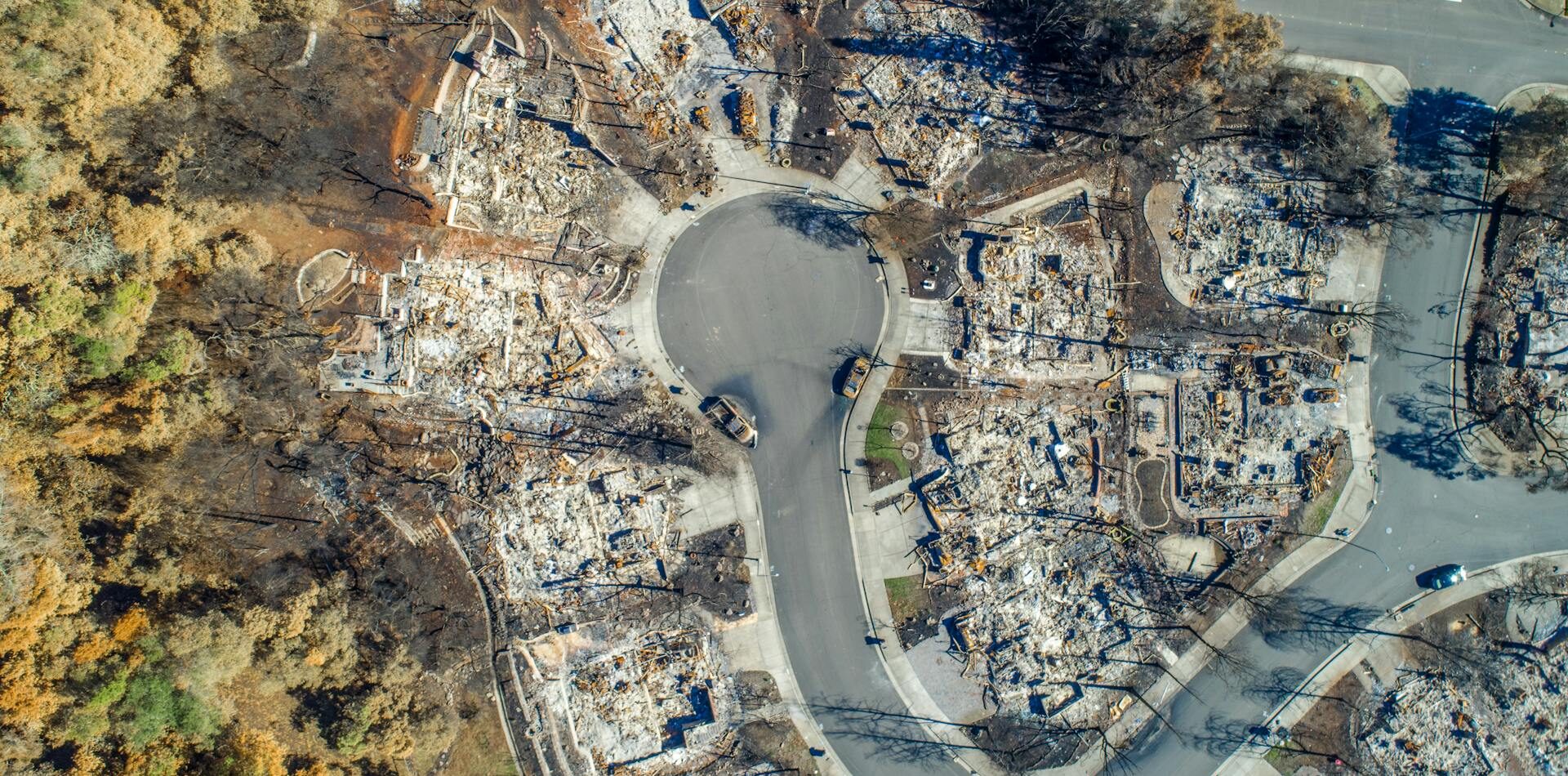 aerial view of a neighborhood destroyed by wildfire