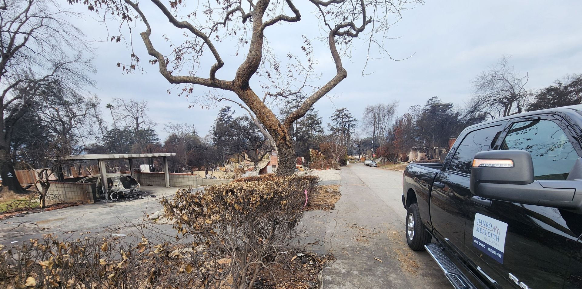 Danko Meredith surveying the damage of the January 2025 LA wildfires