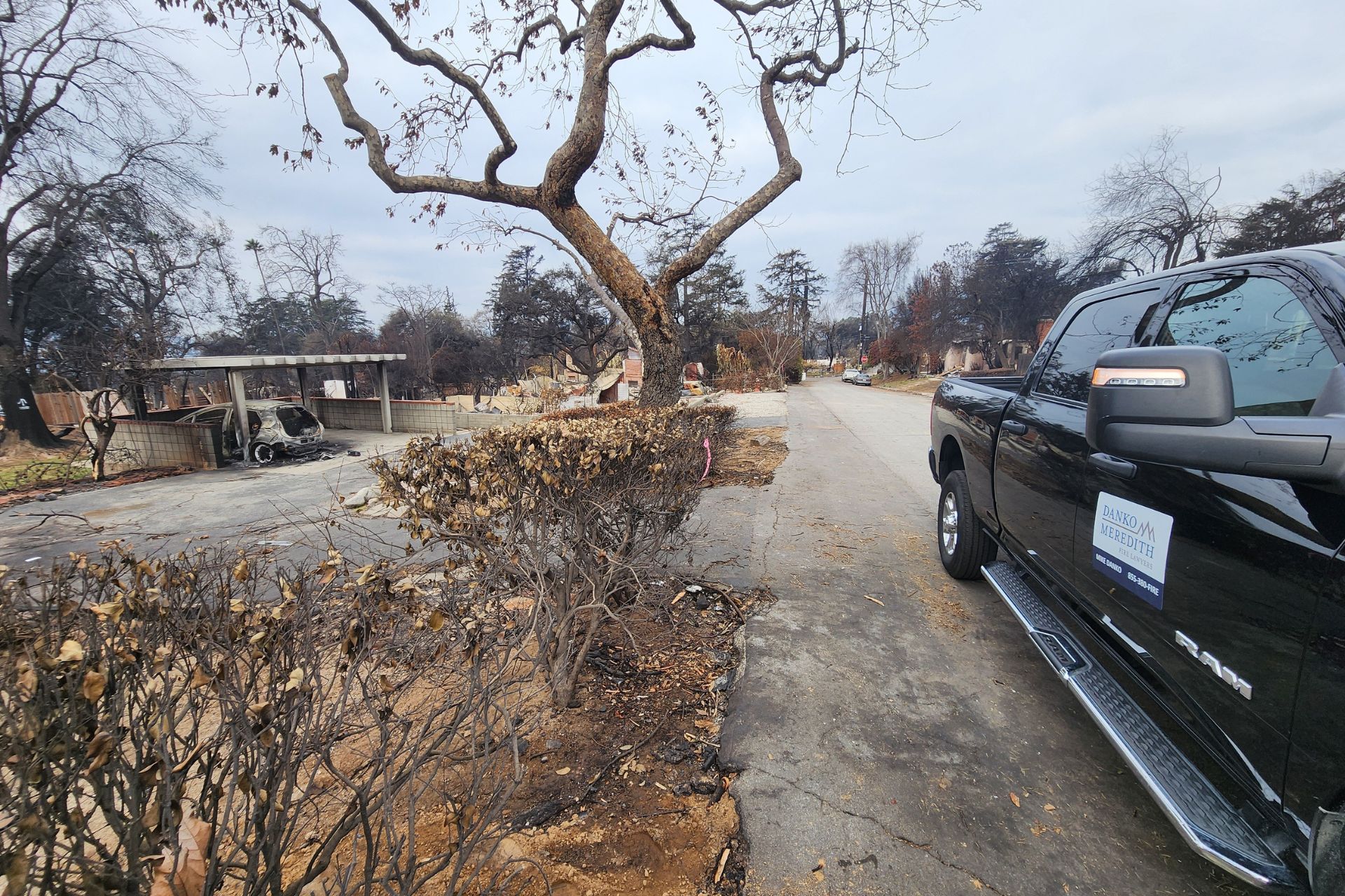 Danko Meredith surveying the damage of the January 2025 LA wildfires