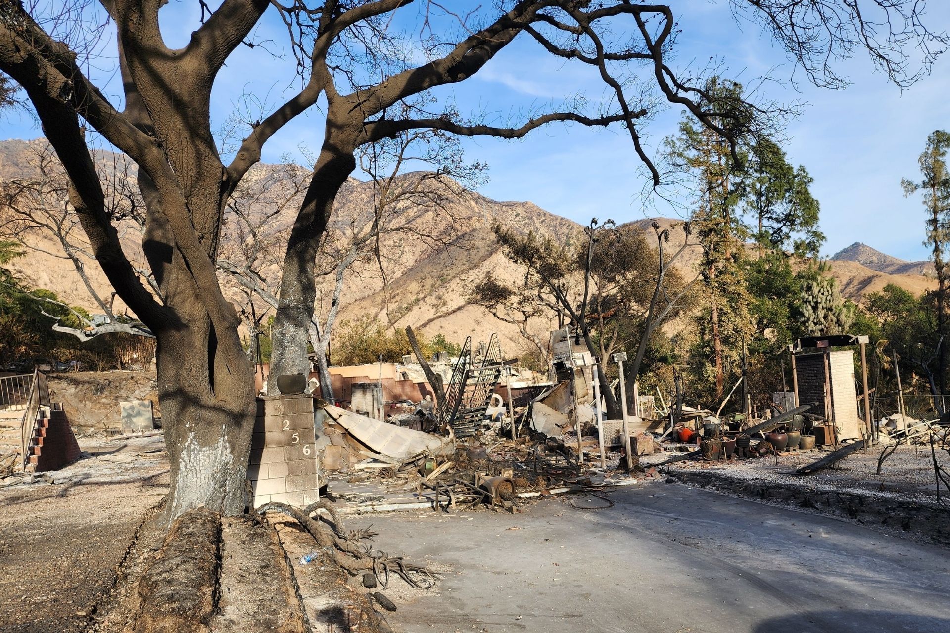 Damage to a residential area from the 2025 L.A. County Wildfires