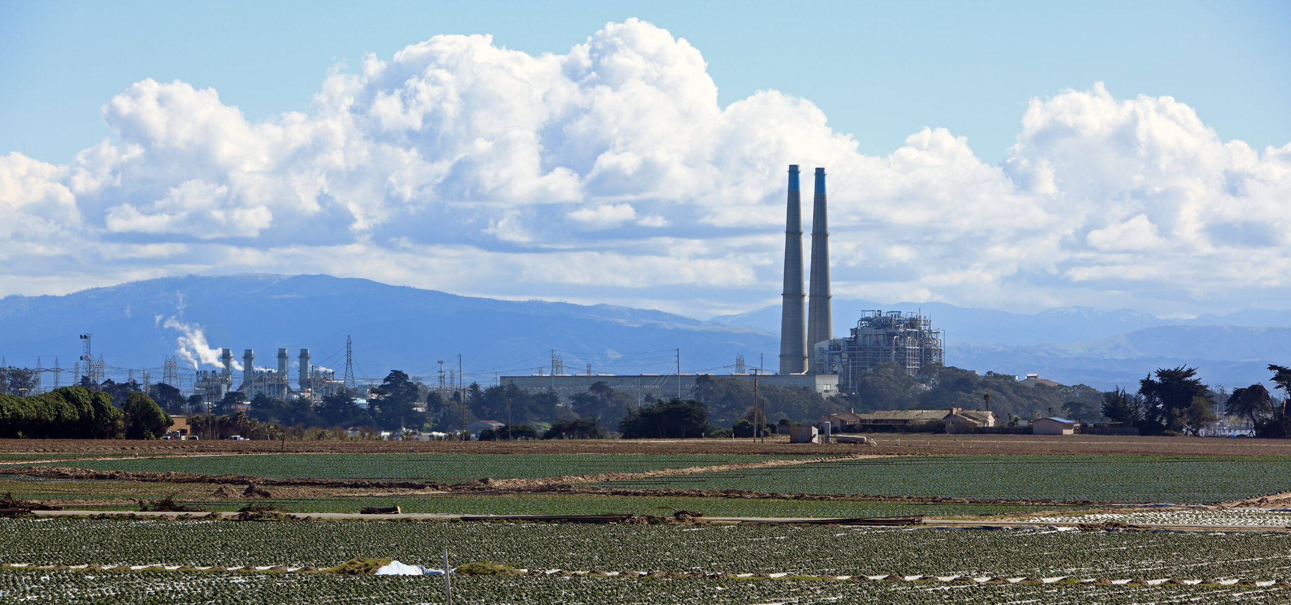 crops growing with moss landing power plant in the background