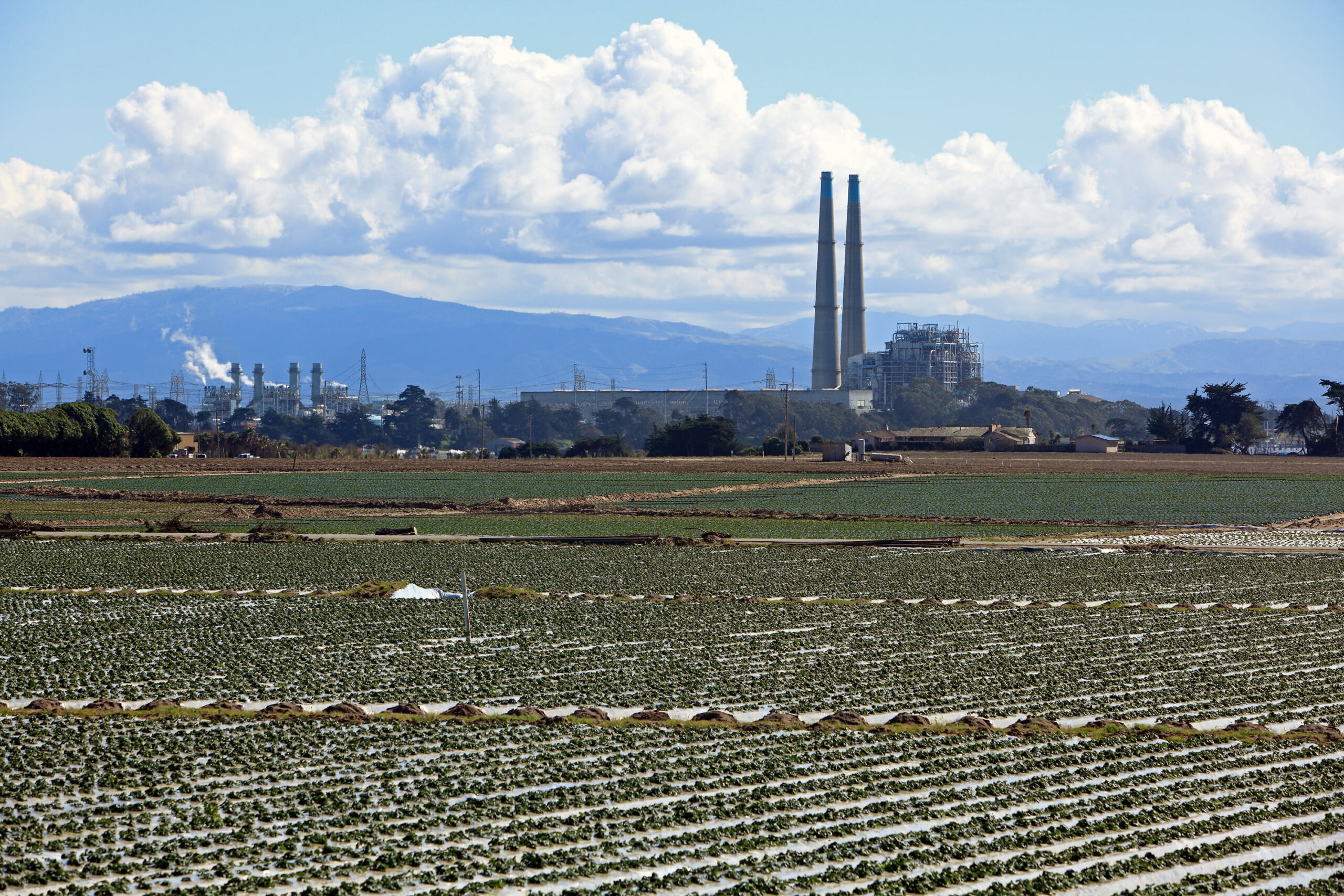 crops growing with moss landing power plant in the background