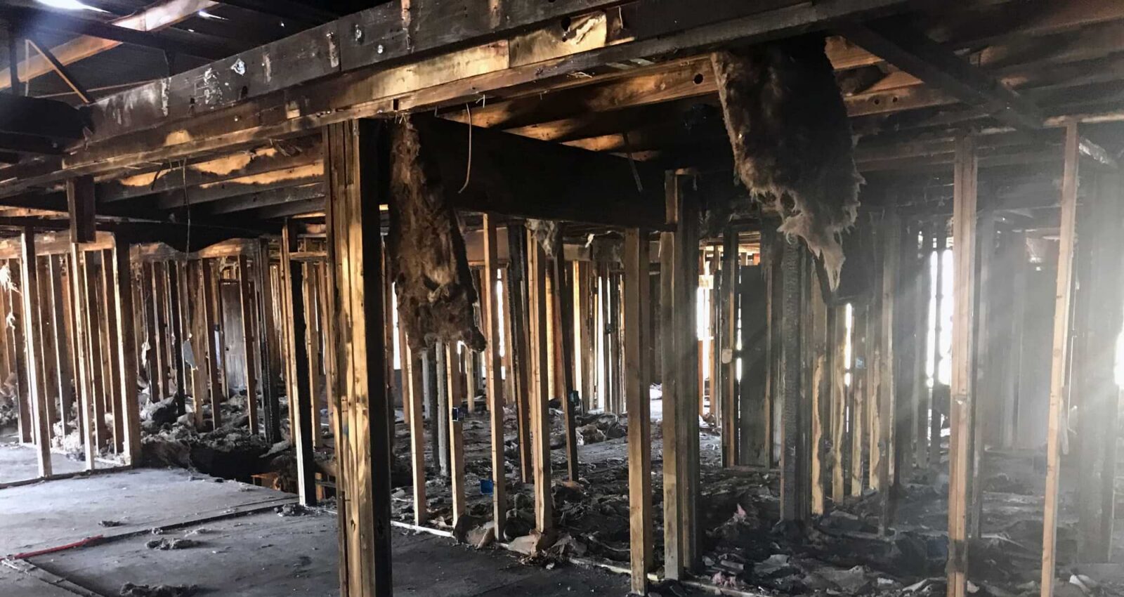 rafters in home wildfire aftermath