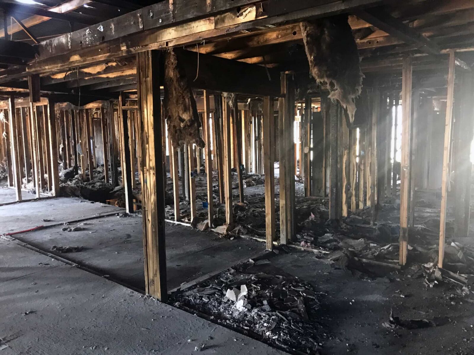 rafters in home wildfire aftermath