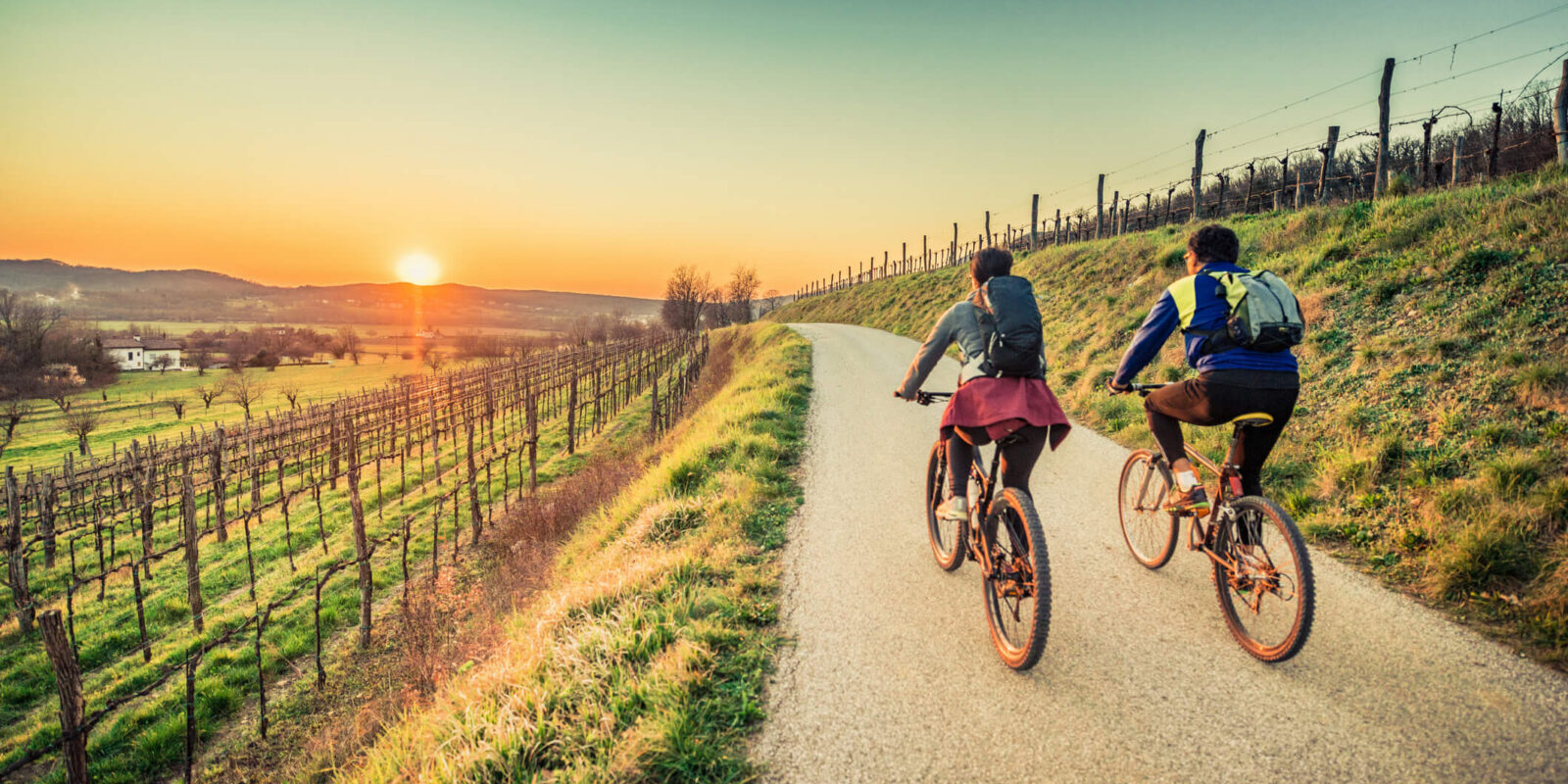 couple cycling around vineyards at sunset