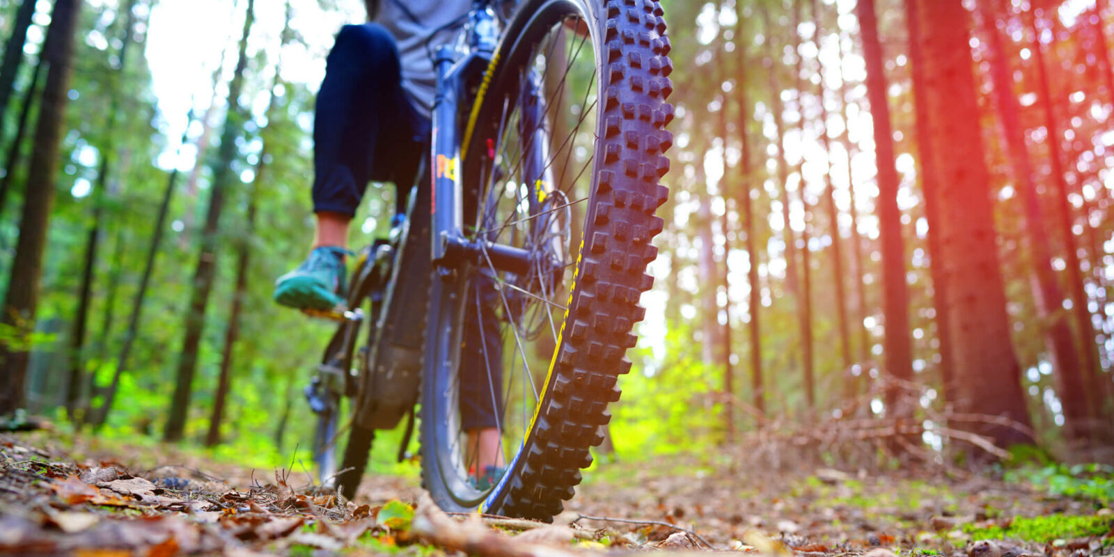 Person mountainbiking on a wooded trail
